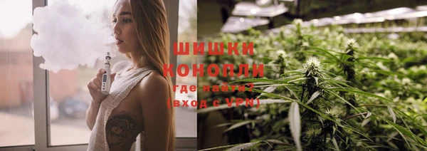 ПСИЛОЦИБИНОВЫЕ ГРИБЫ Козловка