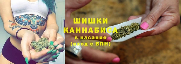 spice Козельск