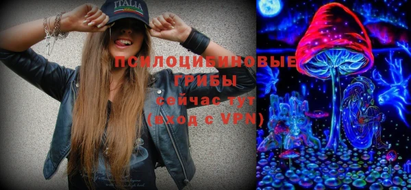 ПСИЛОЦИБИНОВЫЕ ГРИБЫ Козловка