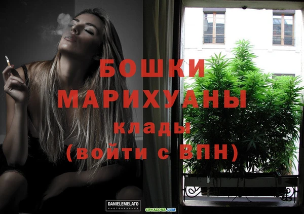 spice Козельск