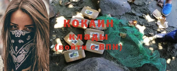 ПСИЛОЦИБИНОВЫЕ ГРИБЫ Козловка