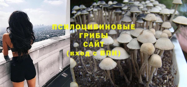 spice Кодинск