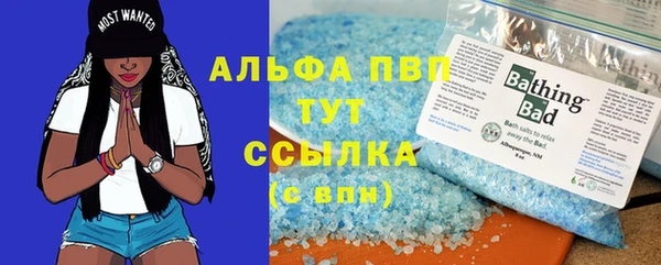 ПСИЛОЦИБИНОВЫЕ ГРИБЫ Козловка