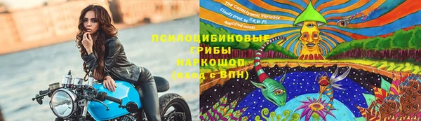 spice Козельск