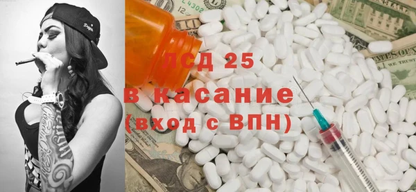 ПСИЛОЦИБИНОВЫЕ ГРИБЫ Козловка