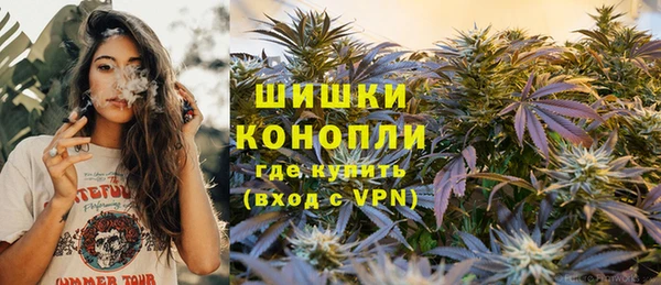 spice Кодинск
